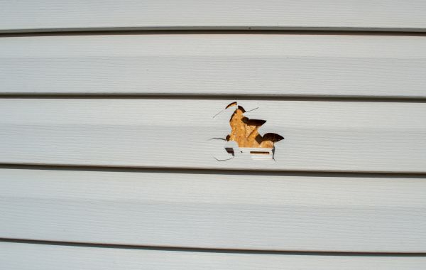 Cost of Siding Hole Repair in Downingtown